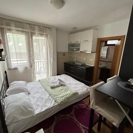 Apartment Tomic